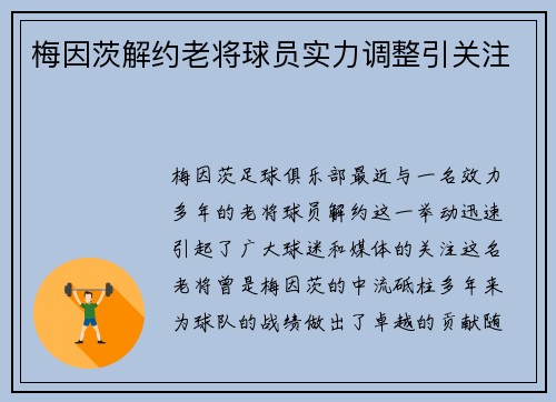 梅因茨解约老将球员实力调整引关注